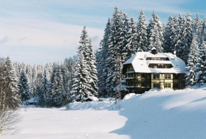 Hotel Modrava